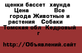 щенки бассет- хаунда › Цена ­ 20 000 - Все города Животные и растения » Собаки   . Томская обл.,Кедровый г.